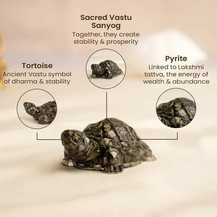 Pyrite Tortoise (Kachhua) for Money, Protection & Vastu