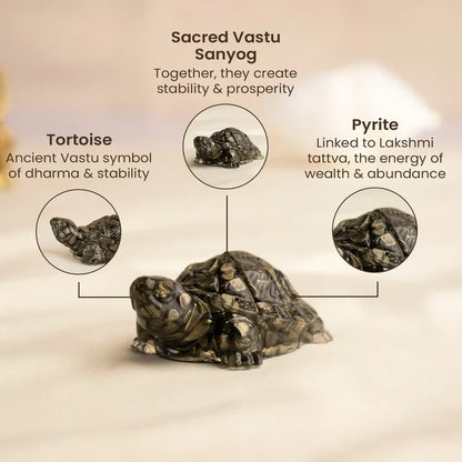 Pyrite Tortoise (Kachhua) for Money, Protection & Vastu