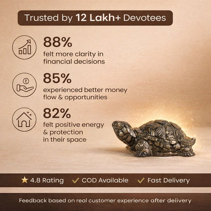 Natural Pyrite Tortoise for Wealth, Good Luck & Vastu | Pyrite Kachhua